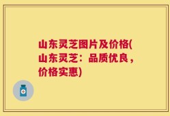 山东灵芝图片及价格(山东灵芝：品质优良，价格实惠)