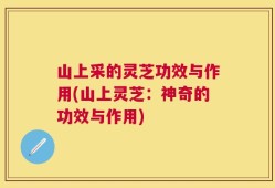 山上采的灵芝功效与作用(山上灵芝：神奇的功效与作用)