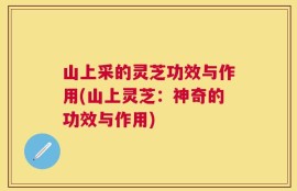 山上采的灵芝功效与作用(山上灵芝：神奇的功效与作用)