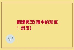 雨珊灵芝(雨中的珍宝：灵芝)