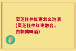 灵芝杜仲红枣怎么泡酒(灵芝杜仲红枣融合，自制美味酒)