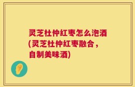 灵芝杜仲红枣怎么泡酒(灵芝杜仲红枣融合，自制美味酒)