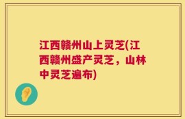 江西赣州山上灵芝(江西赣州盛产灵芝，山林中灵芝遍布)