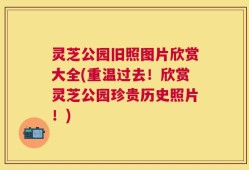 灵芝公园旧照图片欣赏大全(重温过去！欣赏灵芝公园珍贵历史照片！)