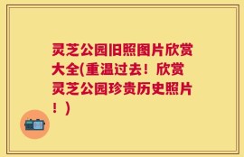 灵芝公园旧照图片欣赏大全(重温过去！欣赏灵芝公园珍贵历史照片！)