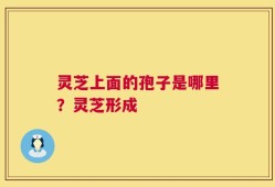 灵芝上面的孢子是哪里？灵芝形成