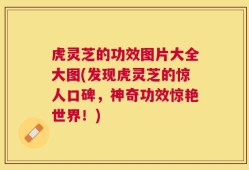 虎灵芝的功效图片大全大图(发现虎灵芝的惊人口碑，神奇功效惊艳世界！)