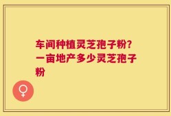 车间种植灵芝孢子粉？一亩地产多少灵芝孢子粉