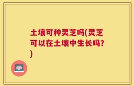 土壤可种灵芝吗(灵芝可以在土壤中生长吗？)