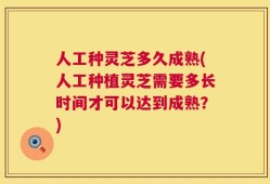 人工种灵芝多久成熟(人工种植灵芝需要多长时间才可以达到成熟？)