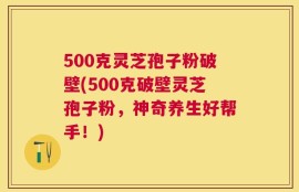 500克灵芝孢子粉破壁(500克破壁灵芝孢子粉，神奇养生好帮手！)
