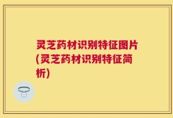 灵芝药材识别特征图片(灵芝药材识别特征简析)
