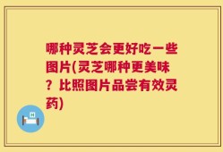 哪种灵芝会更好吃一些图片(灵芝哪种更美味？比照图片品尝有效灵药)