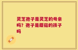 灵芝孢子是灵芝的母亲吗？孢子是蘑菇的孩子吗