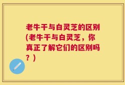 老牛干与白灵芝的区别(老牛干与白灵芝，你真正了解它们的区别吗？)
