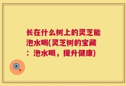 长在什么树上的灵芝能泡水喝(灵芝树的宝藏：泡水喝，提升健康)