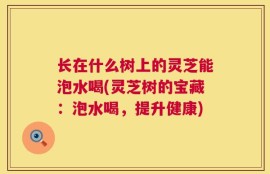 长在什么树上的灵芝能泡水喝(灵芝树的宝藏：泡水喝，提升健康)