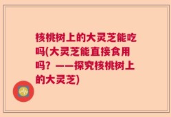 核桃树上的大灵芝能吃吗(大灵芝能直接食用吗？——探究核桃树上的大灵芝)
