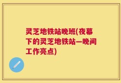 灵芝地铁站晚班(夜幕下的灵芝地铁站—晚间工作亮点)