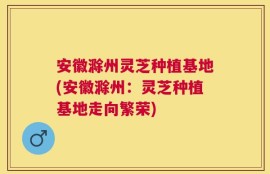 安徽滁州灵芝种植基地(安徽滁州：灵芝种植基地走向繁荣)