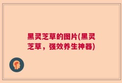 黑灵芝草的图片(黑灵芝草，强效养生神器)