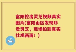 富阳挖出灵芝视频真实图片(富阳山区发现珍贵灵芝，现场拍到真实壮观画面！)