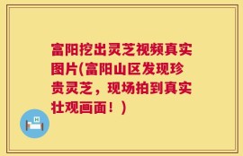 富阳挖出灵芝视频真实图片(富阳山区发现珍贵灵芝，现场拍到真实壮观画面！)