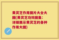 黄灵芝作用图片大全大图(黄灵芝功效图集：详细展示黄灵芝的各种作用大图)