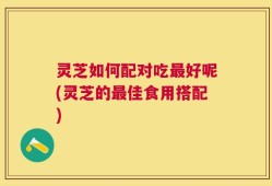 灵芝如何配对吃最好呢(灵芝的最佳食用搭配)