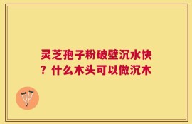 灵芝孢子粉破壁沉水快？什么木头可以做沉木