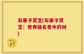 石寨子灵芝(石寨子灵芝：世界级名贵中药材)