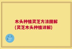 木头种植灵芝方法图解(灵芝木头种植详解)