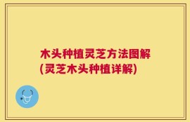 木头种植灵芝方法图解(灵芝木头种植详解)