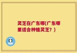 灵芝在广东哪(广东哪里适合种植灵芝？)