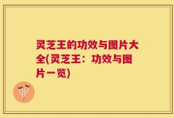 灵芝王的功效与图片大全(灵芝王：功效与图片一览)