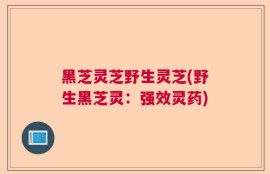 黑芝灵芝野生灵芝(野生黑芝灵：强效灵药)