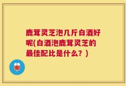 鹿茸灵芝泡几斤白酒好呢(白酒泡鹿茸灵芝的最佳配比是什么？)