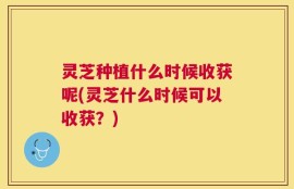 灵芝种植什么时候收获呢(灵芝什么时候可以收获？)