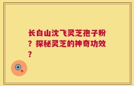 长白山沈飞灵芝孢子粉？探秘灵芝的神奇功效？