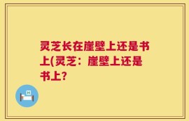 灵芝长在崖壁上还是书上(灵芝：崖壁上还是书上？