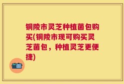 铜陵市灵芝种植菌包购买(铜陵市现可购买灵芝菌包，种植灵芝更便捷)