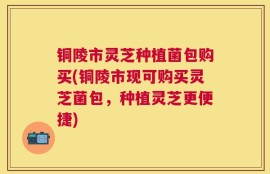 铜陵市灵芝种植菌包购买(铜陵市现可购买灵芝菌包，种植灵芝更便捷)