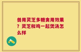兽用灵芝多糖禽用效果？灵芝和鸡一起煲汤怎么样