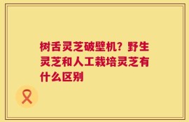 树舌灵芝破壁机？野生灵芝和人工栽培灵芝有什么区别