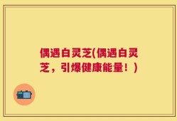 偶遇白灵芝(偶遇白灵芝，引爆健康能量！)