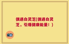 偶遇白灵芝(偶遇白灵芝，引爆健康能量！)