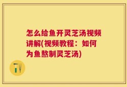怎么给鱼开灵芝汤视频讲解(视频教程：如何为鱼熬制灵芝汤)