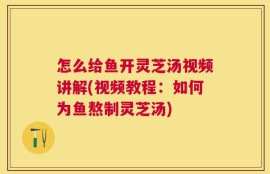 怎么给鱼开灵芝汤视频讲解(视频教程：如何为鱼熬制灵芝汤)