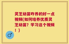灵芝幼苗咋养的好一点视频(如何培养优质灵芝幼苗？学习这个视频！)