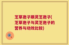 芝草孢子跟灵芝孢子(芝草孢子与灵芝孢子的营养与功效比较)